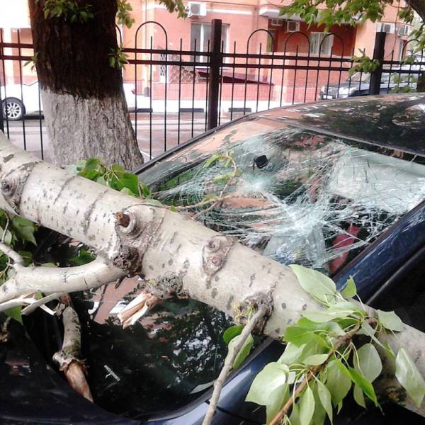 Sometimes Awful Things Happen That Aren't Worth Fighting (47 pics)