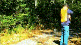 These Gifs Vividly Show Terrifying Moments (32 gifs)