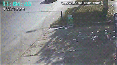 These Gifs Vividly Show Terrifying Moments (32 gifs)