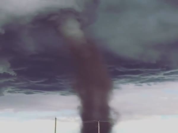 Tornado Shears Lawn