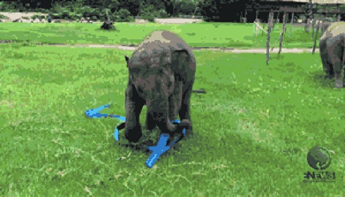Acid Gifdump, June 08, 2017 (25 gifs)