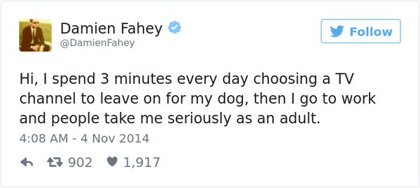 Hilarious Tweets About Dogs (25 pics)