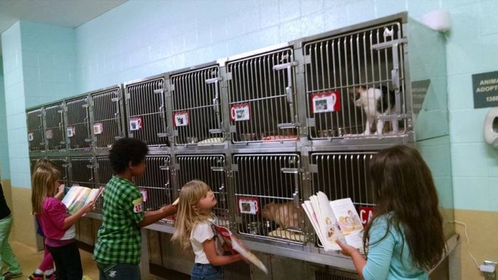 Children Reading To Shelter Dogs Is Adorable (9 pics)