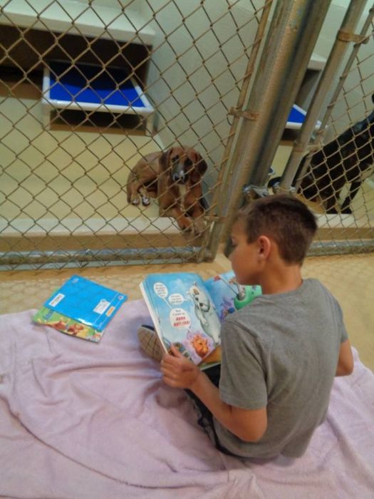 Children Reading To Shelter Dogs Is Adorable (9 pics)