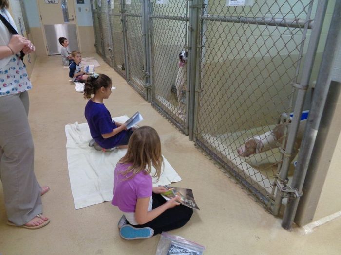 Children Reading To Shelter Dogs Is Adorable (9 pics)