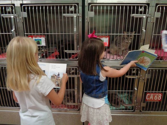 Children Reading To Shelter Dogs Is Adorable (9 pics)