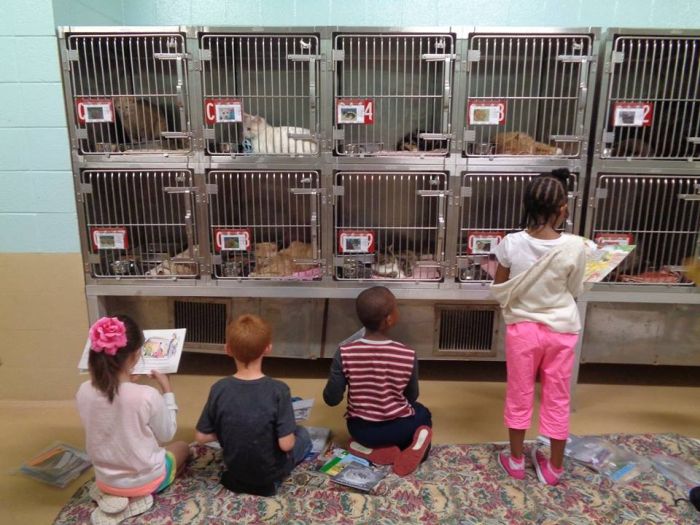 Children Reading To Shelter Dogs Is Adorable (9 pics)