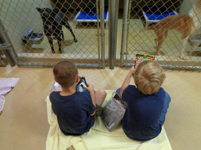 Children Reading To Shelter Dogs Is Adorable (9 pics)