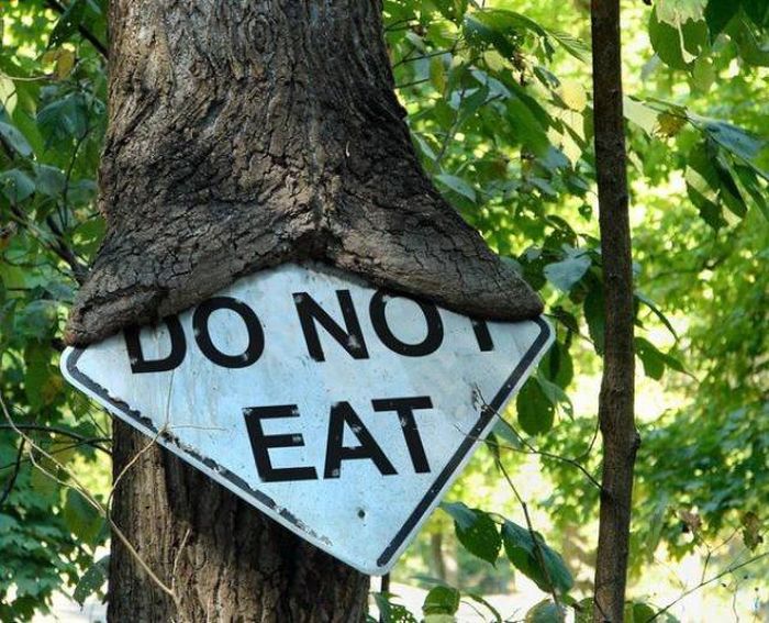 Acid Picdump (92 pics)