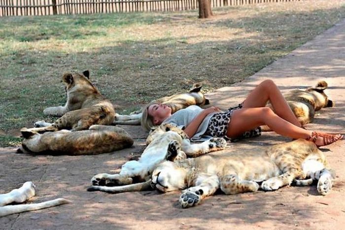 Acid Picdump (92 pics)