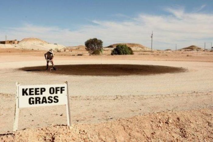 Acid Picdump (92 pics)