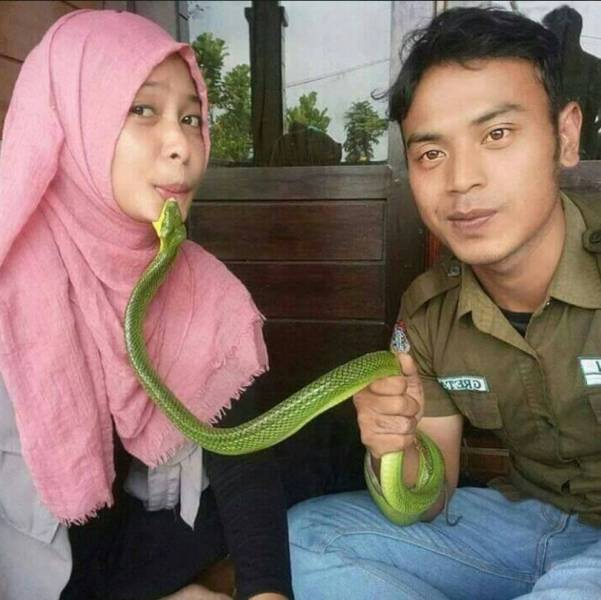 Acid Picdump (92 pics)
