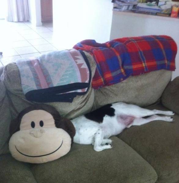 Acid Picdump (92 pics)