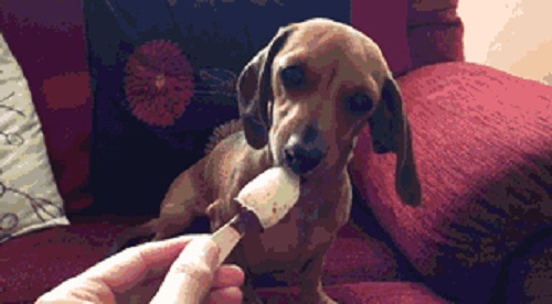 Acid Gifdump, June 12, 2017 (25 gifs)
