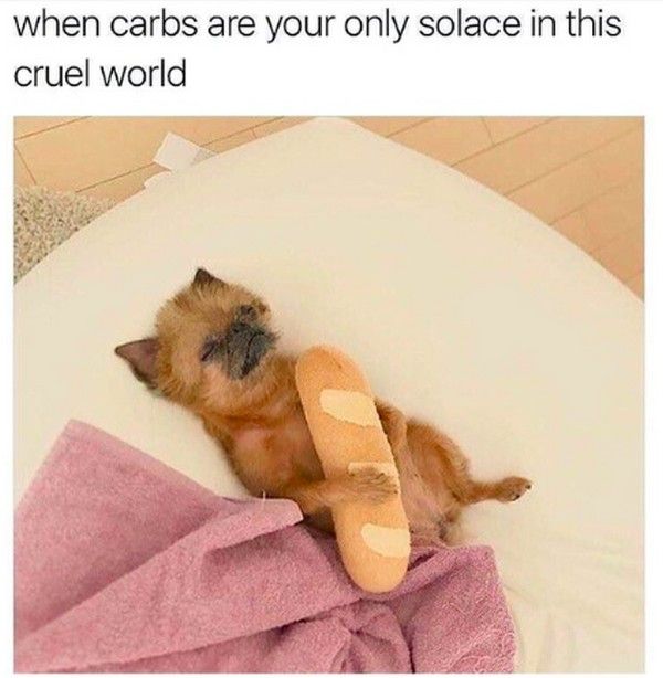 Tasty Memes About Carbs (21 pics)