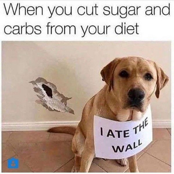 Tasty Memes About Carbs (21 pics)