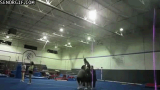 Acid Gifdump, June 13, 2017 (25 gifs)