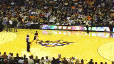 Acid Gifdump, June 13, 2017 (25 gifs)