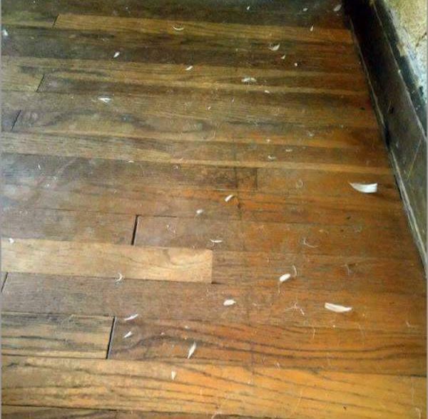 The Investigation Begins (7 pics)