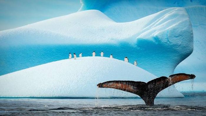 Words Just Can't Do These Pictures Justice (48 pics)