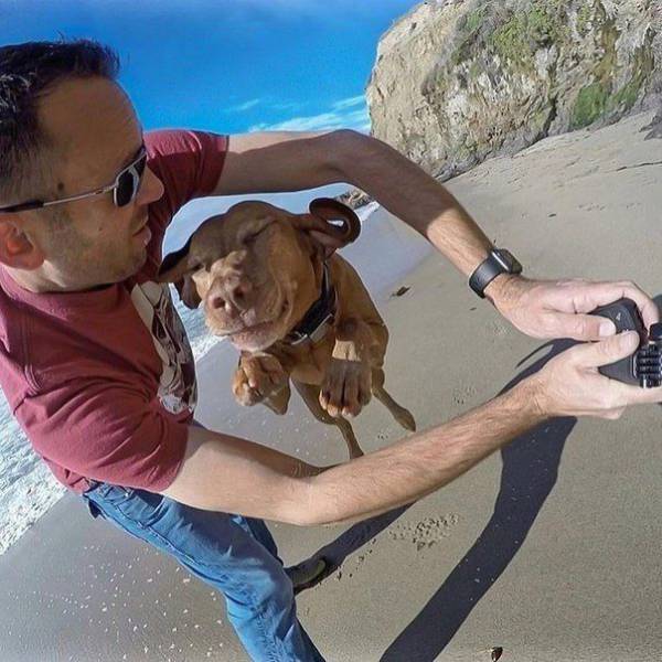 Words Just Can't Do These Pictures Justice (48 pics)
