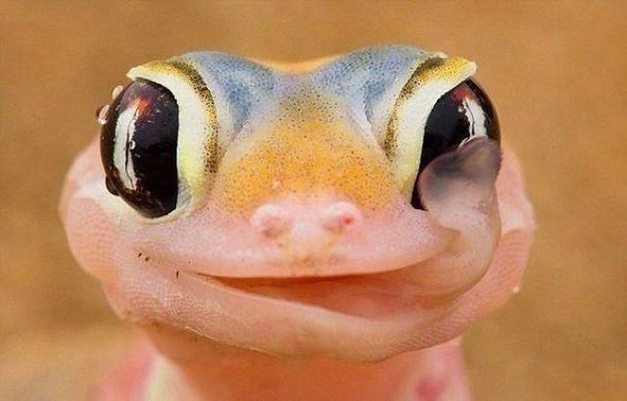 Words Just Can't Do These Pictures Justice (48 pics)