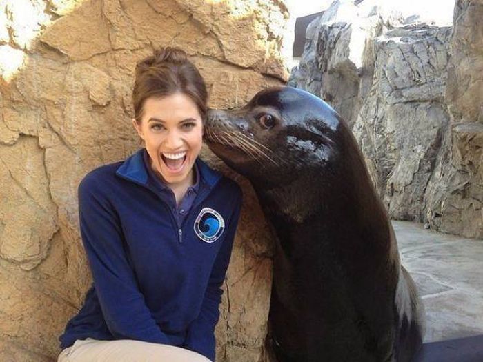 Words Just Can't Do These Pictures Justice (48 pics)