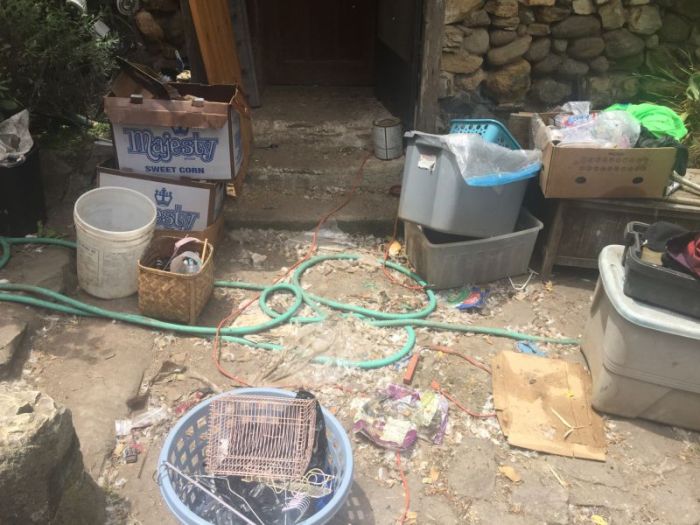 Landlord Kicks Tenants Out For Trashing House (13 pics)