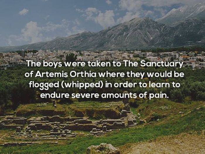 Interesting Facts About Ancient Sparta (12 pics)