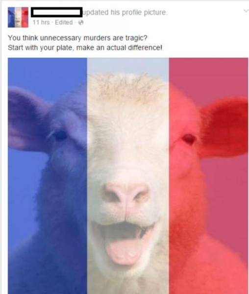 You Will Be Able To Feel The Cringe Invading Your Brain (52 pics)