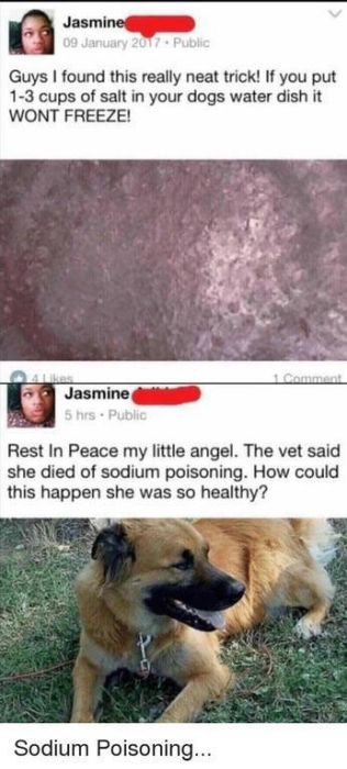 You Will Be Able To Feel The Cringe Invading Your Brain (52 pics)
