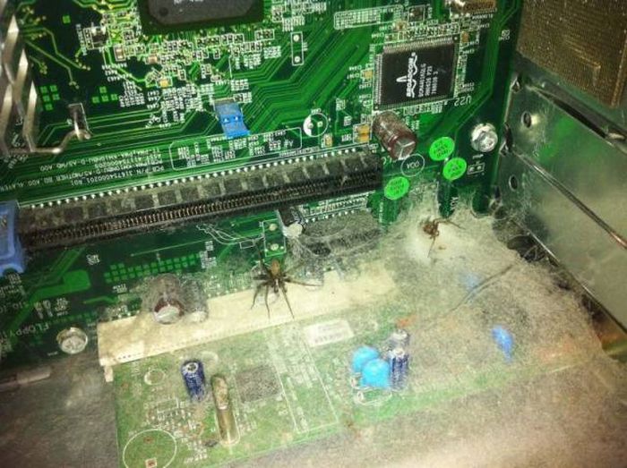 These People Should Never Touch Anything Technology-Related Again (25 pics)