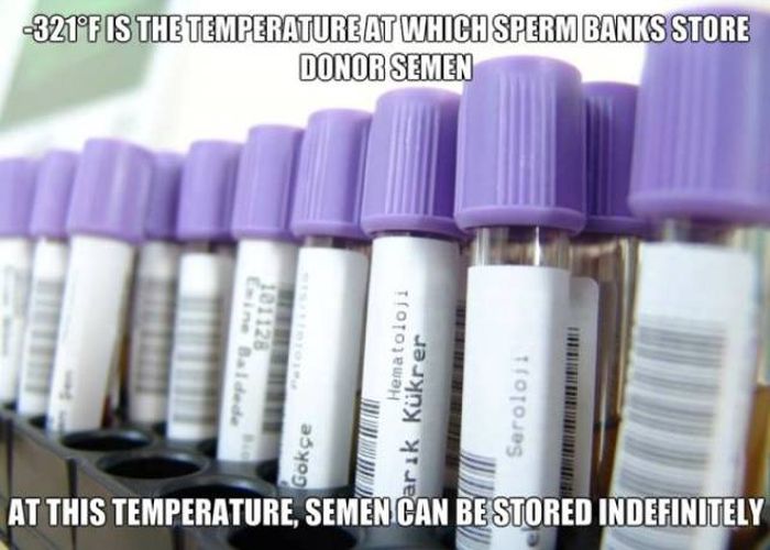 Sex Facts That Will Help You Get In Touch With Your Kinky Side (18 pics)