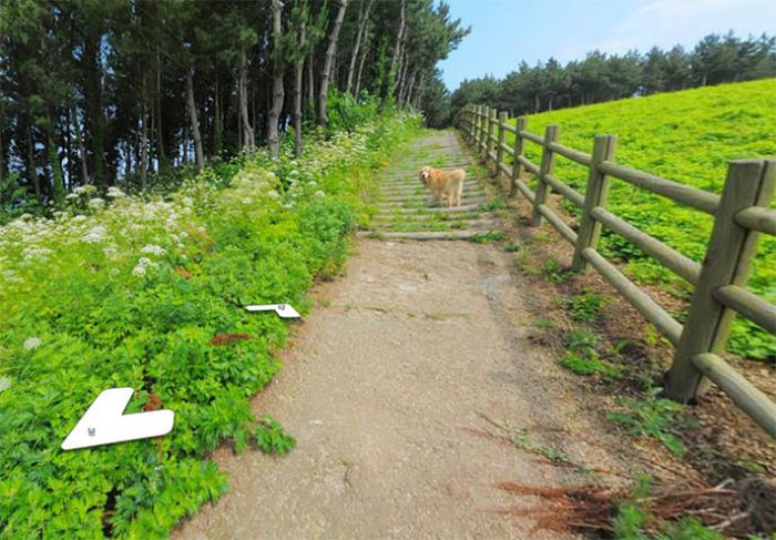 Dog Becomes Popular Thanks To Google Street View (7 pics)