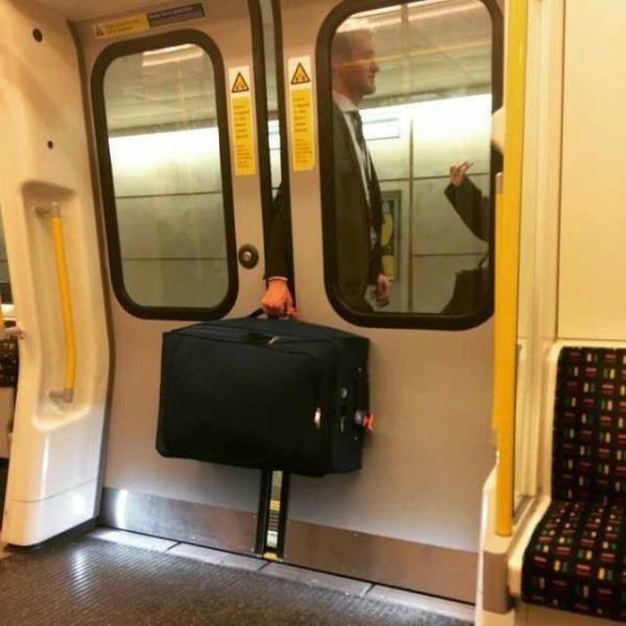 Impressive People Who Definitely Nailed It (42 pics)