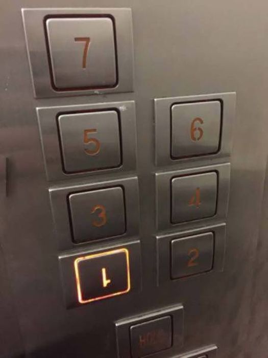 Impressive People Who Definitely Nailed It (42 pics)