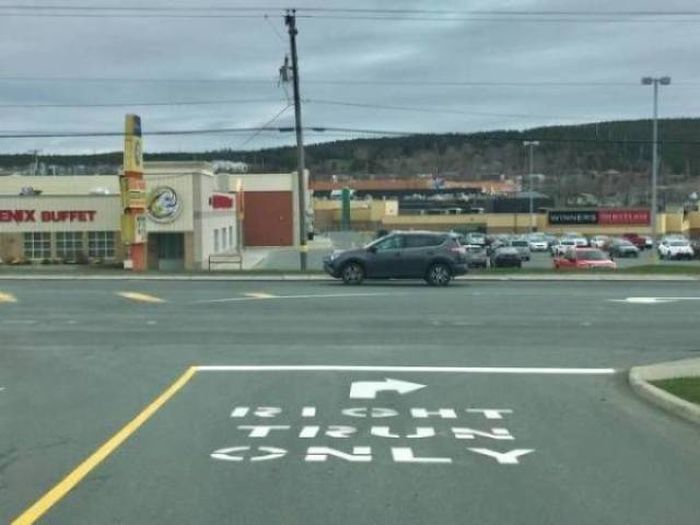 Impressive People Who Definitely Nailed It (42 pics)