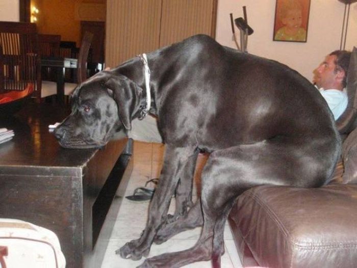 Impressive People Who Definitely Nailed It (42 pics)