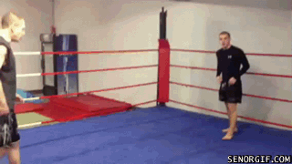 Acid Gifdump, June 16, 2017 (25 gifs)