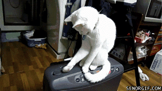 Acid Gifdump, June 16, 2017 (25 gifs)