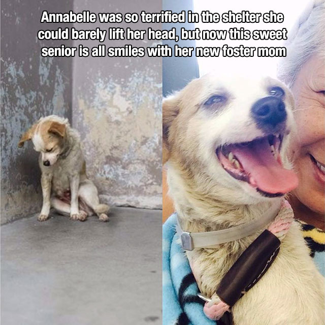 Heartwarming Reminders That Life Is Beautiful (19 pics)