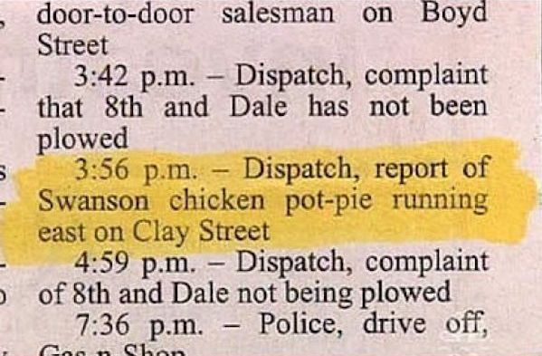 Great And Hilarious Moments From Police Blotter History (25 pics)