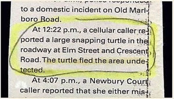 Great And Hilarious Moments From Police Blotter History (25 pics)
