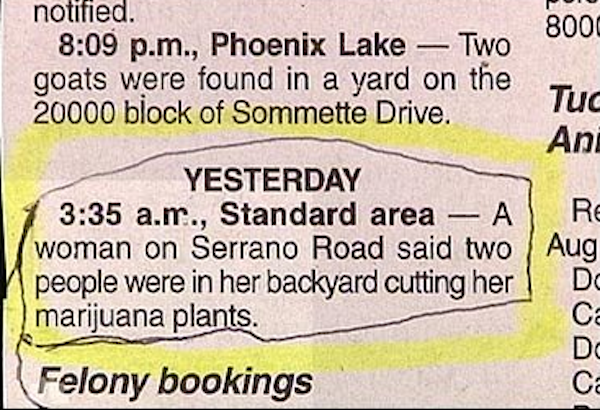 Great And Hilarious Moments From Police Blotter History (25 pics)
