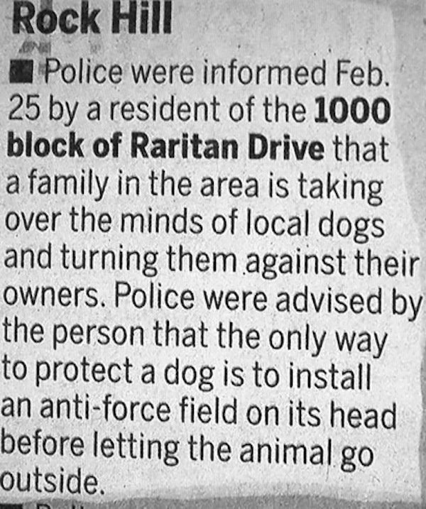 Great And Hilarious Moments From Police Blotter History (25 pics)