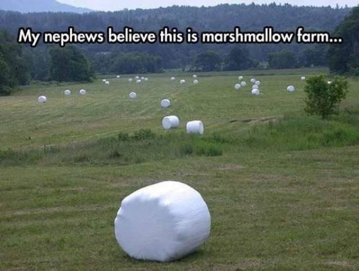 Acid Picdump (93 pics)