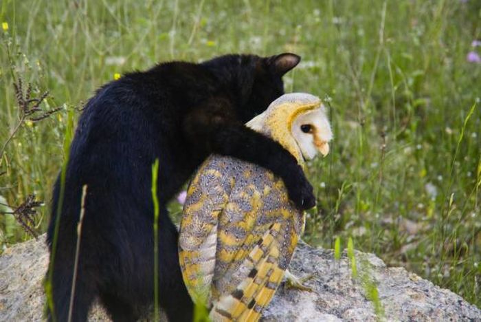 Acid Picdump (93 pics)