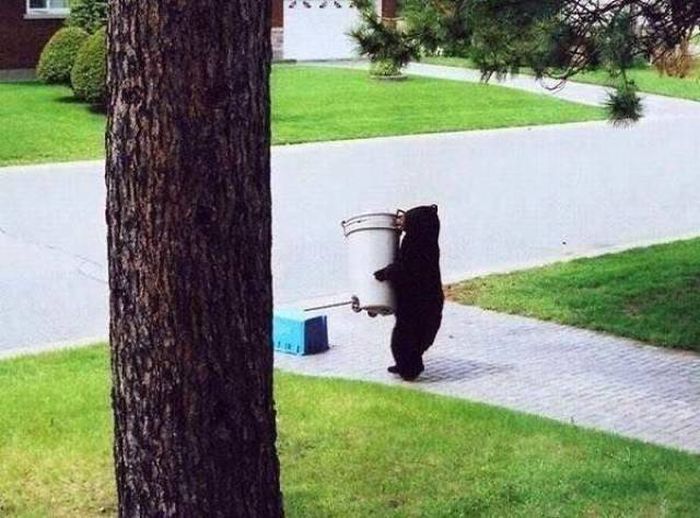 Acid Picdump (93 pics)