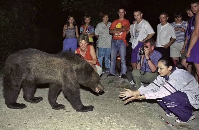 Acid Picdump (93 pics)