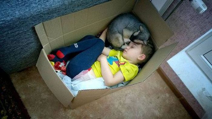 Acid Picdump (93 pics)
